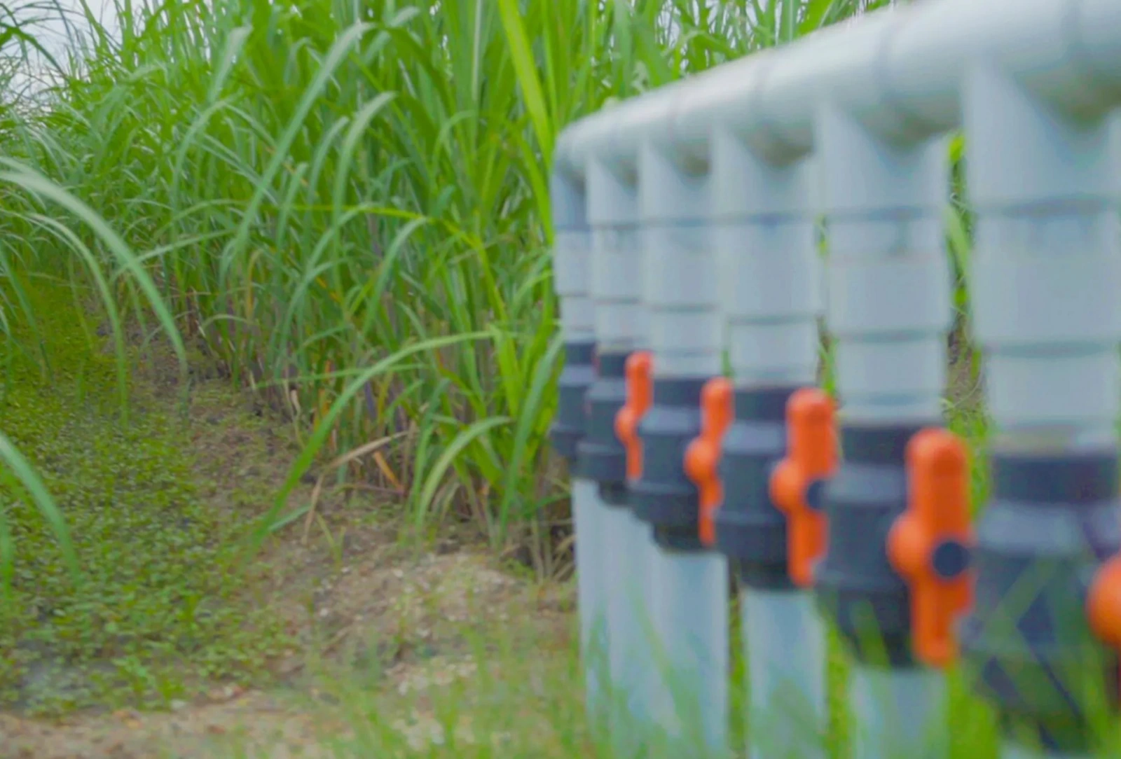 HDPE and PVC Pipes for Irrigation