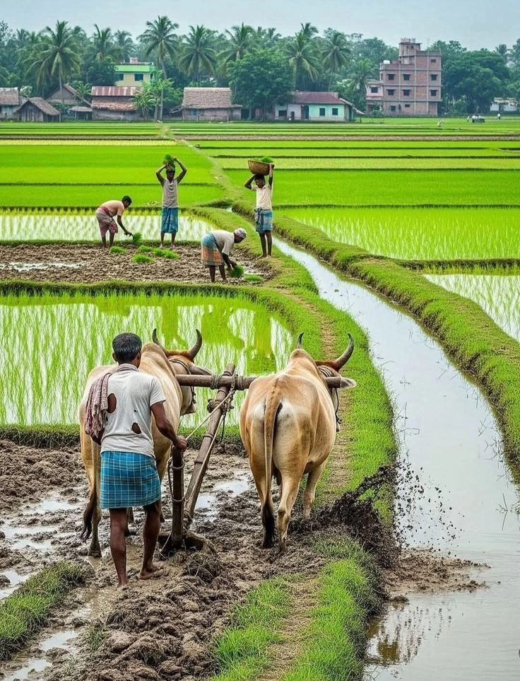 Uniform Water Distribution Across Lawn
