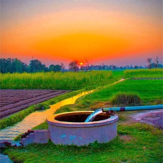 Efficiency of Agriculture