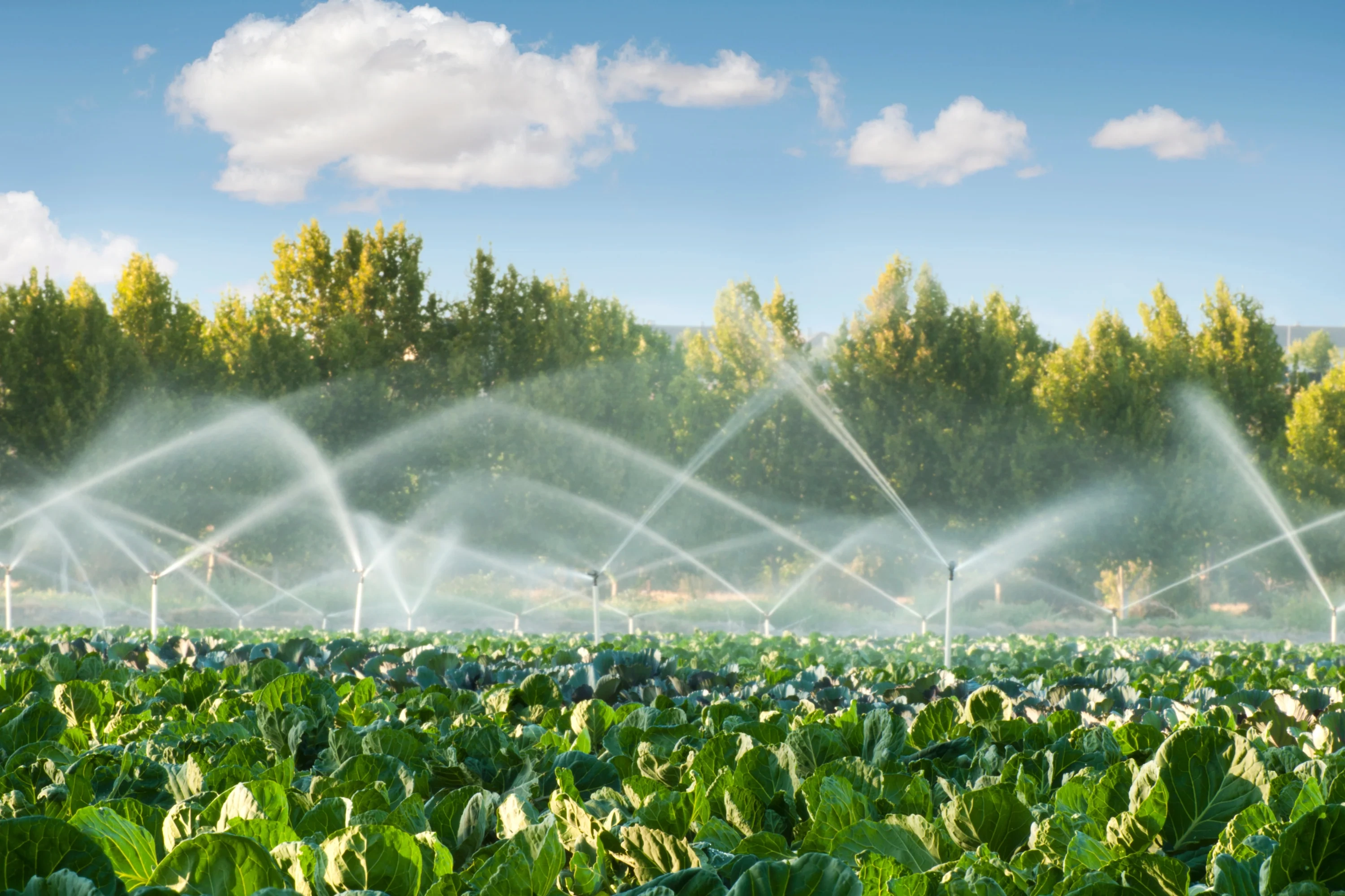 Sprinkler Irrigation